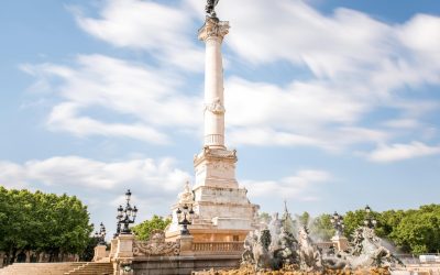 Bordeaux : Le Vin Peut-il Sauver la Planète ?