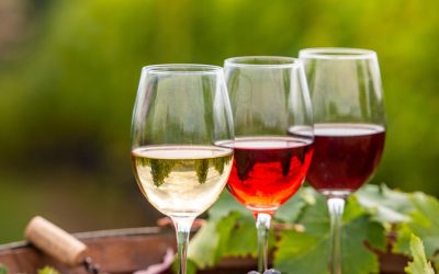 Bordeaux et l’Eldorado Technologique : Les Startups de la Ville Lumière