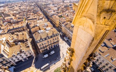 Bordeaux, la Silicon Valley du Vin : Innovation et Technologie dans le Vignoble