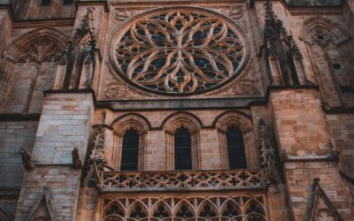 La face cachée des vignobles bordelais : Où va vraiment l’argent du vin ?