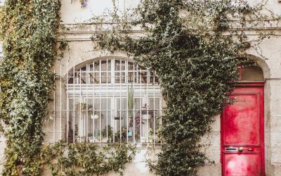 Bordeaux, la Silicon Valley du Vin : Mythe ou Réalité ?