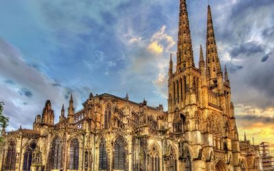 Les dessous secrets des vins de Bordeaux : Ce que les viticulteurs ne vous disent pas