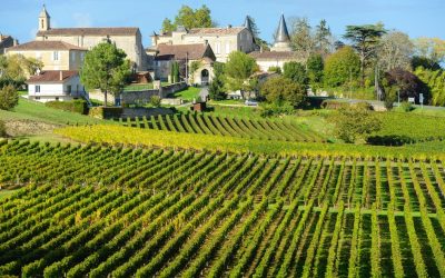 Bordeaux: La Route Secrète du Vin Éco-responsable