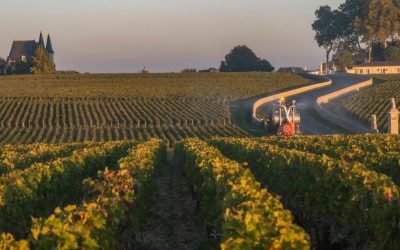 Découvrez les trésors cachés de Bordeaux : plongez au cœur de la capitale du vin