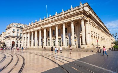 Les dessous obscurs du vin de Bordeaux : Ce que les grandes marques ne veulent pas que vous sachiez