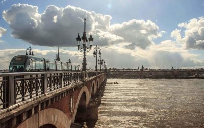 Bordeaux : Et si le vin était la nouvelle star de la Blockchain ?