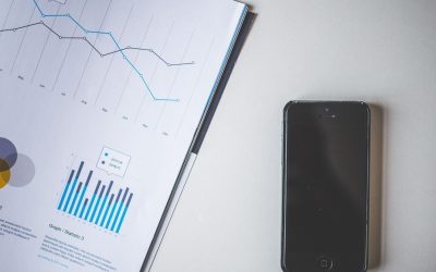 Les chats prennent-ils le contrôle du marketing digital ? Une analyse féline !